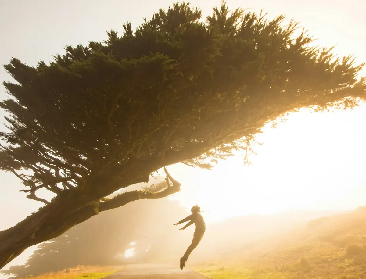 Bad News: Addictions are Progressive. Very Good News: So is Recovery Post feature image