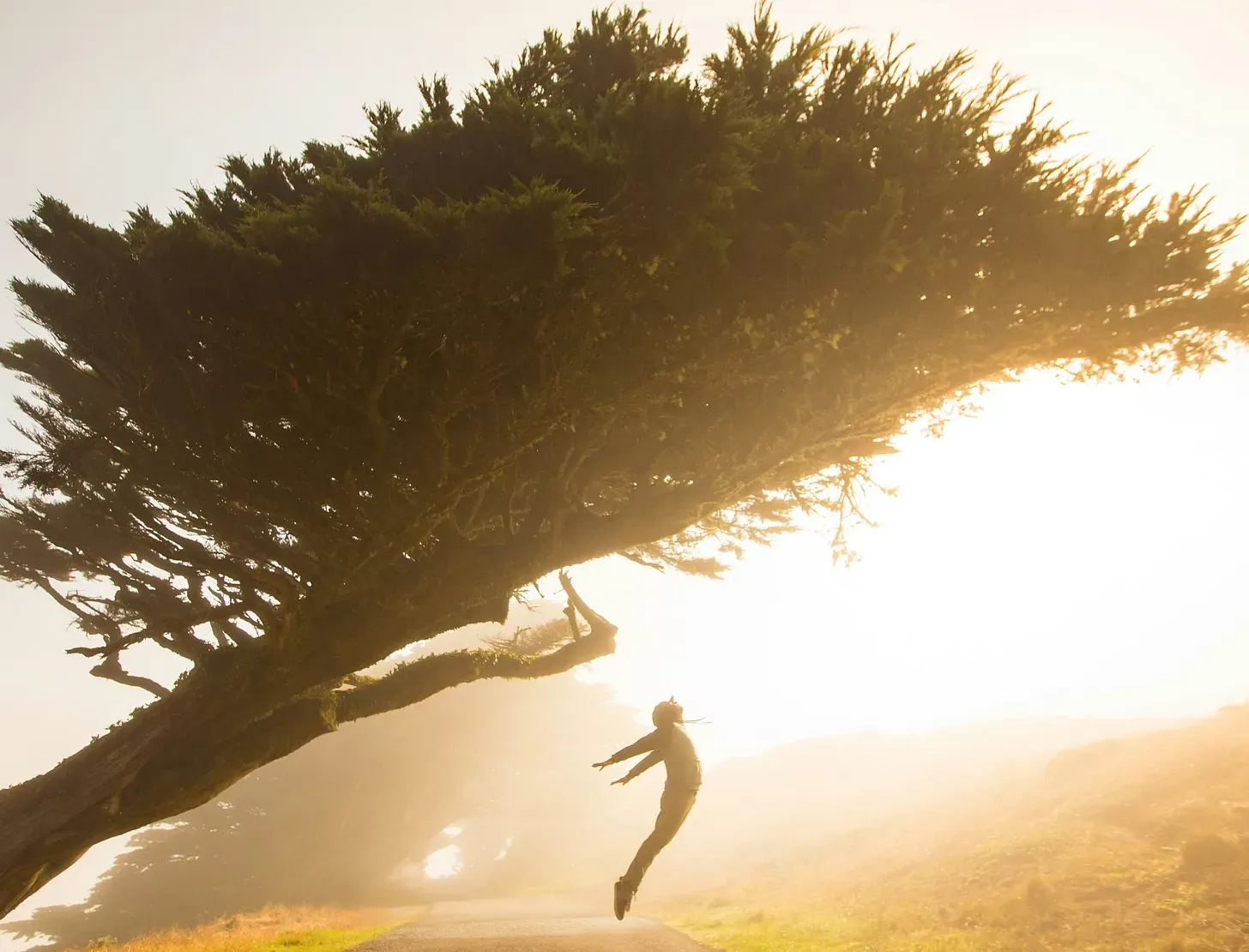 Bad News: Addictions are Progressive. Very Good News: So is Recovery Post feature image