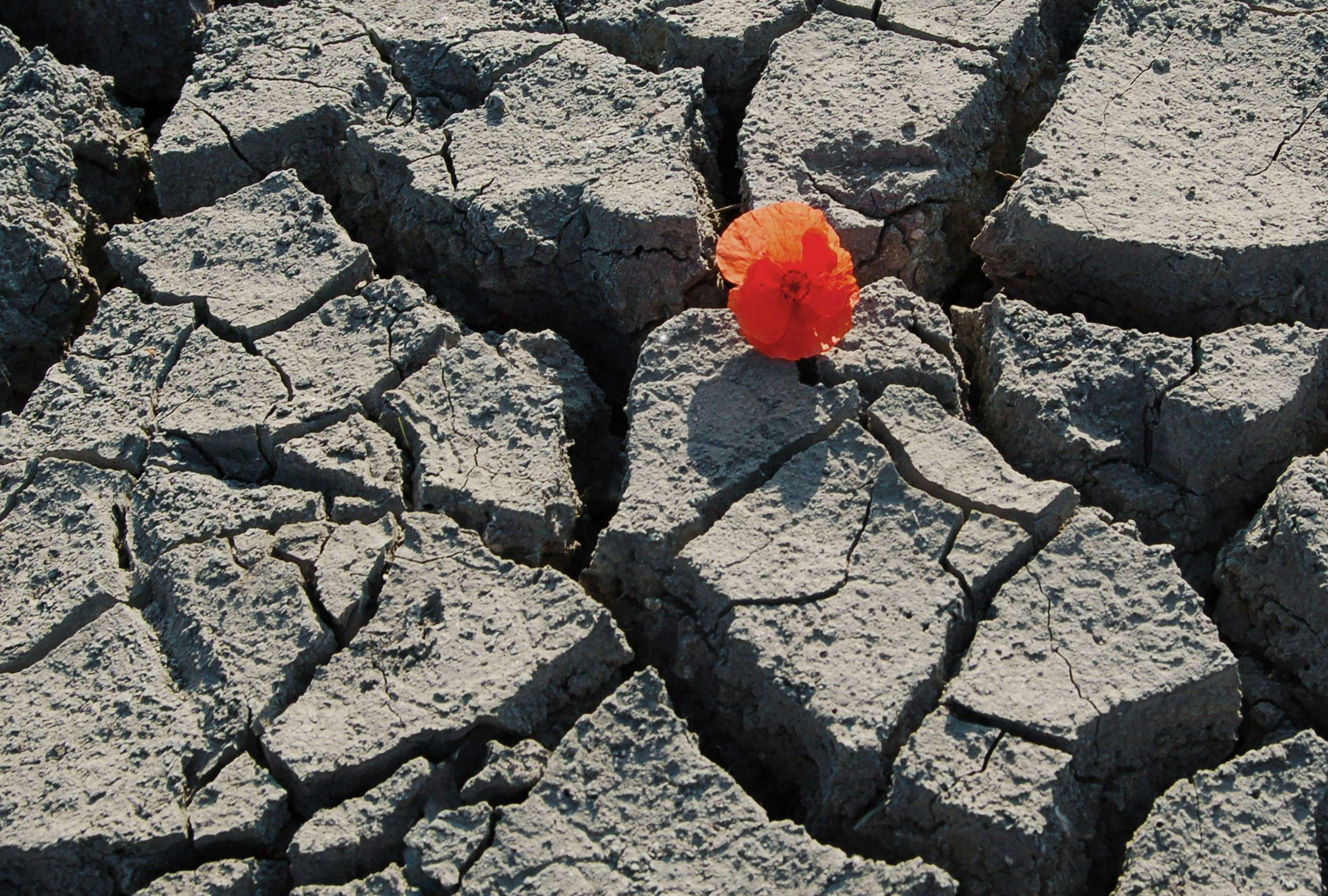 Perseverance: Part 2 feature image