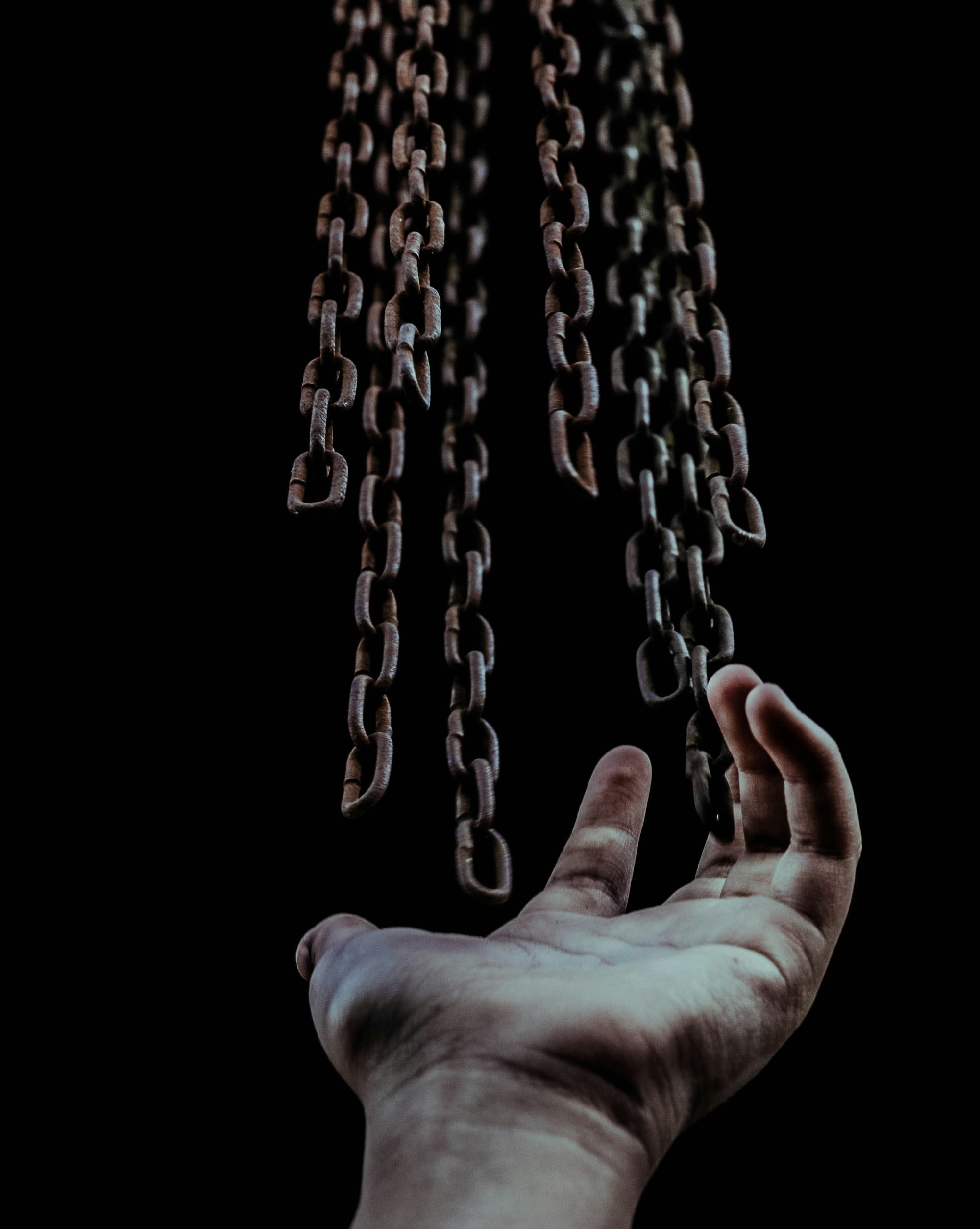 The Consequences of Trauma: Part 3 feature image